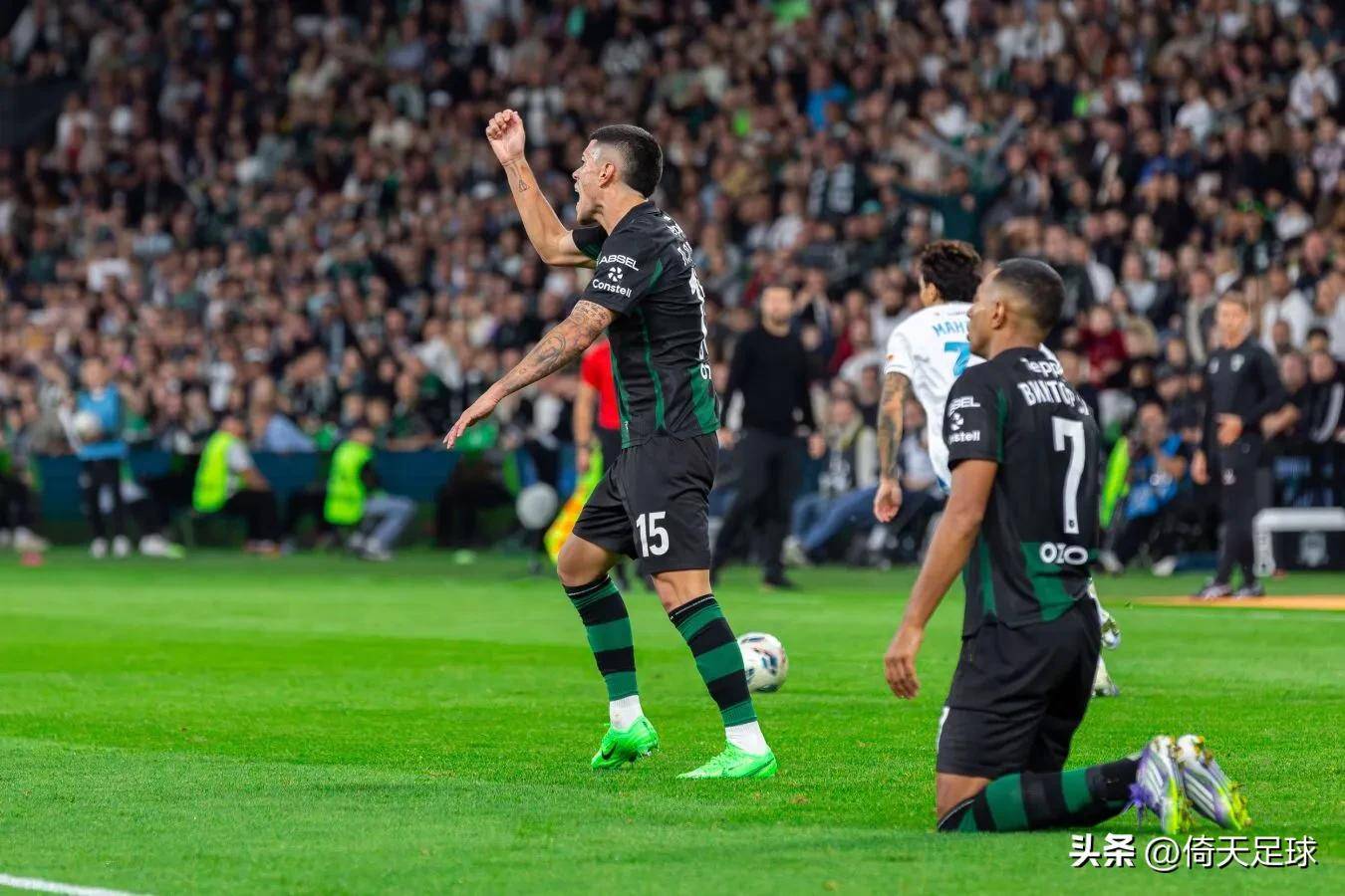 来的都是客完整版